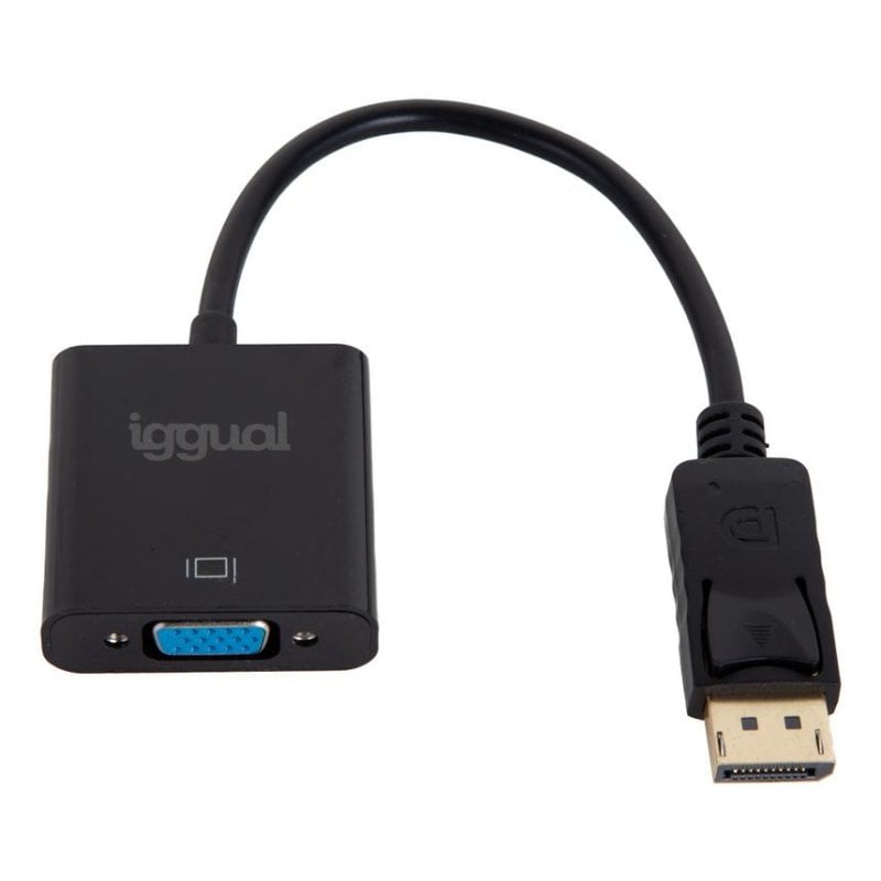 IGGUAL DisplayPort-auf-VGA-Adapter, 0,2 m