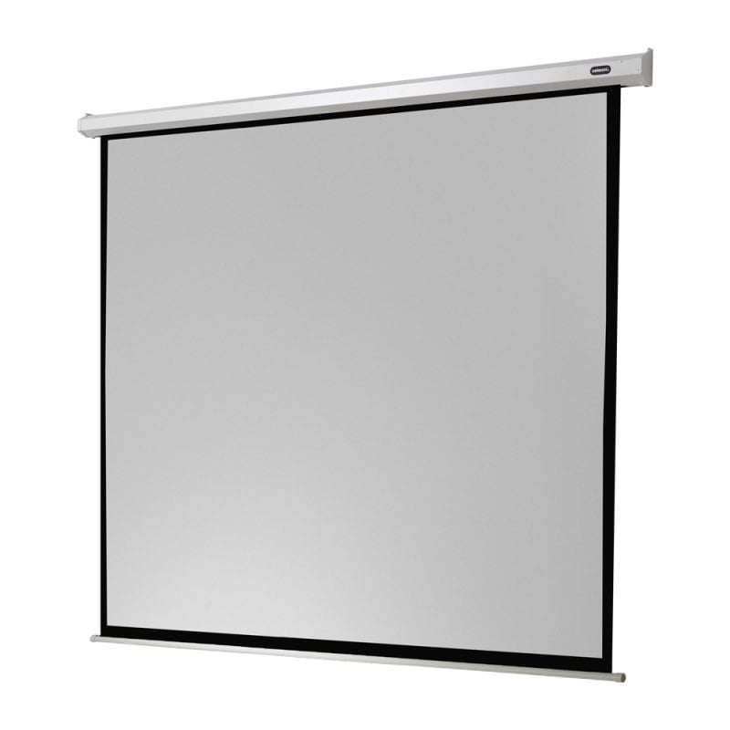 Celexon Electric Economy elektrische Projektionsleinwand 300x300cm
